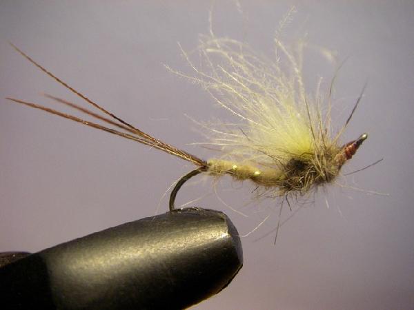 Montage de mouche