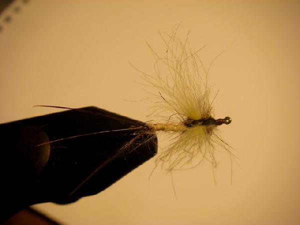 Montage de mouche