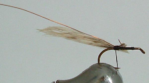Montage de mouche