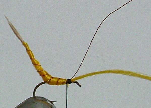 Montage de mouche