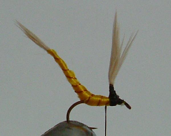 Montage de mouche