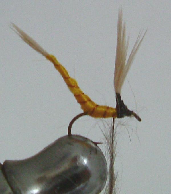 Montage de mouche
