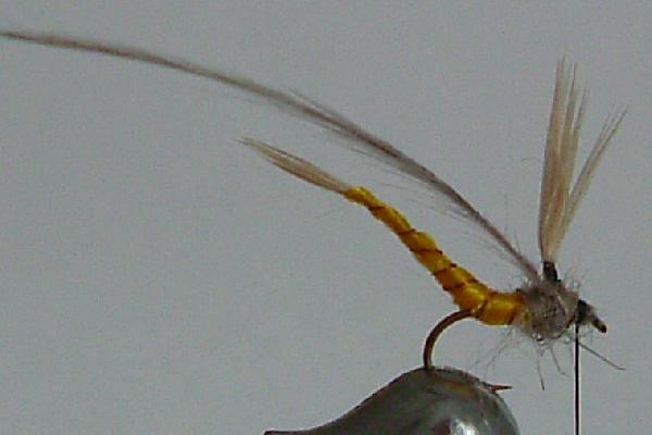 Montage de mouche