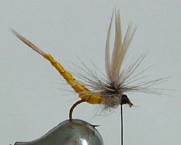 Montage de mouche