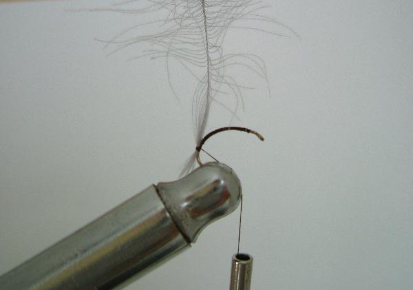 Montage de mouche
