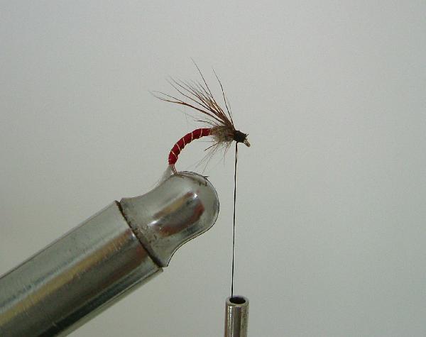 Montage de mouche