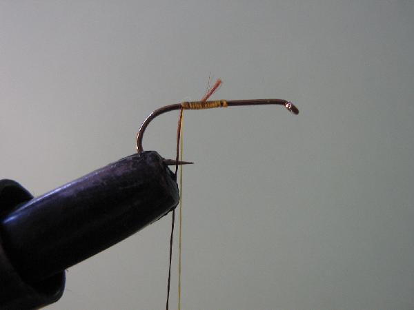 Montage de mouche