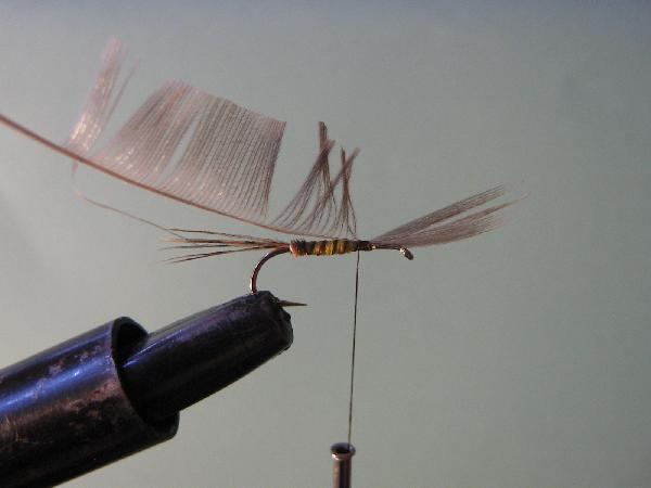 Montage de mouche