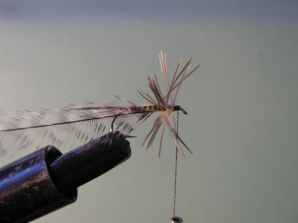 Montage de mouche