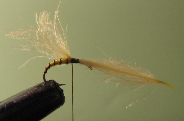 Montage de mouche