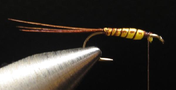 Montage de mouche