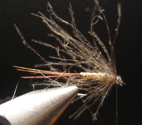 Montage de mouche