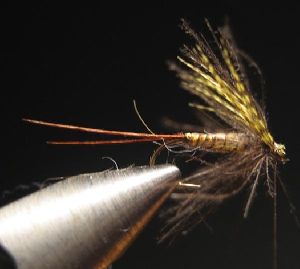 Montage de mouche
