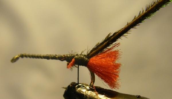 Montage de mouche