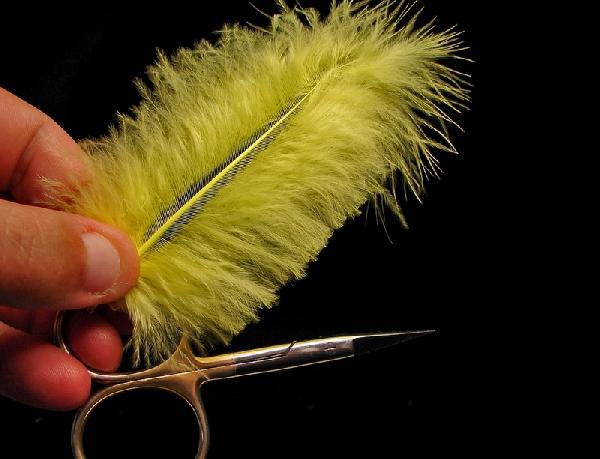 Montage de mouche