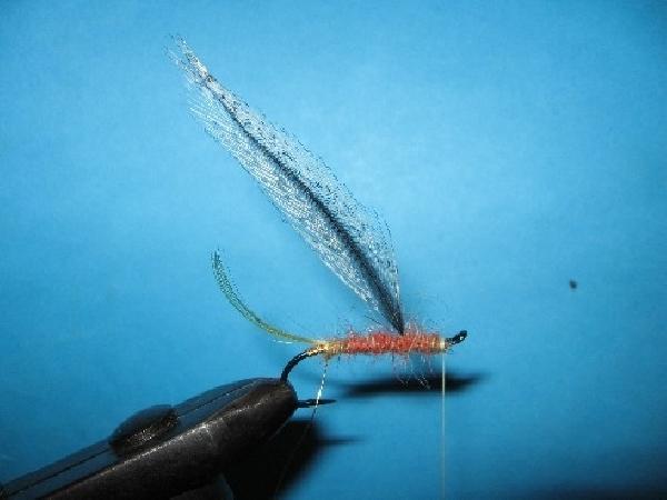 Montage de mouche