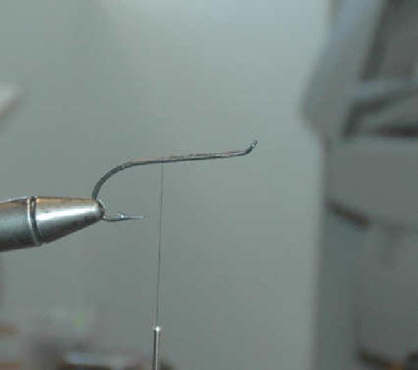 Montage de mouche
