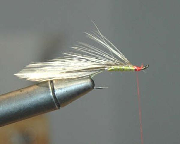 Montage de mouche