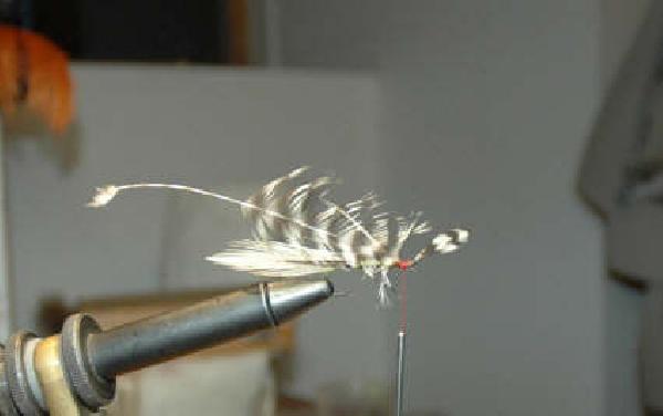 Montage de mouche
