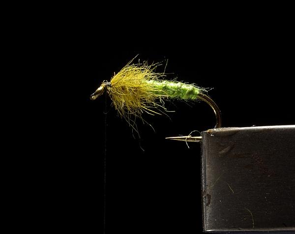Montage de mouche