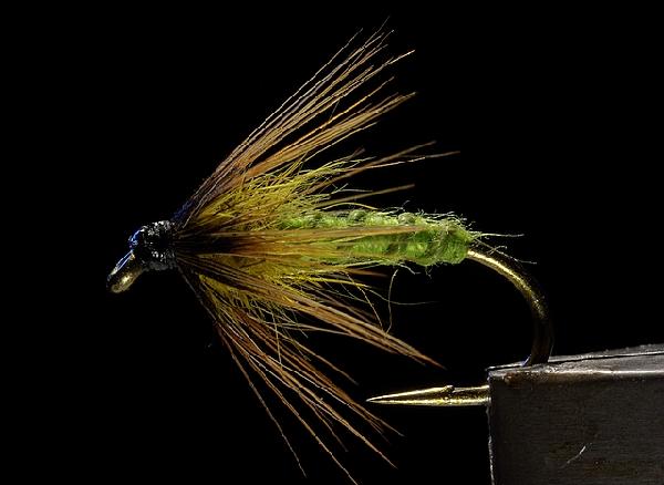 Montage de mouche