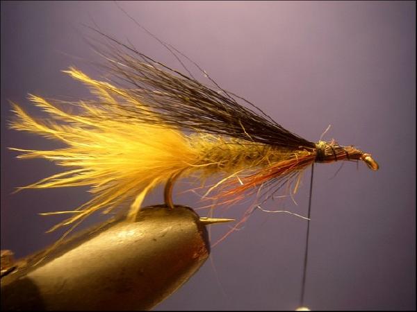 Montage de mouche