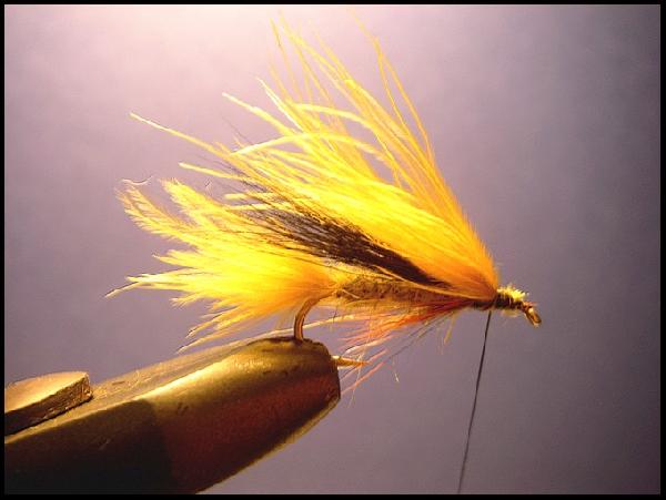 Montage de mouche