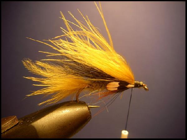 Montage de mouche