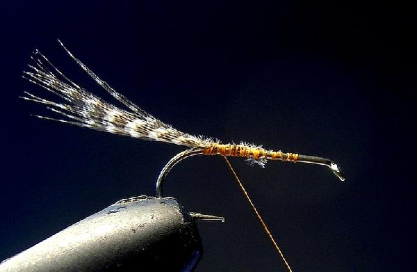 Montage de mouche