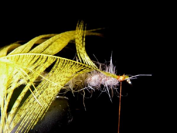 Montage de mouche