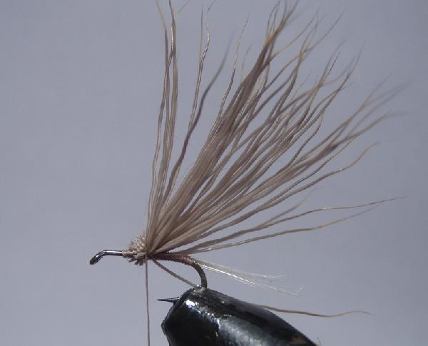 Montage de mouche