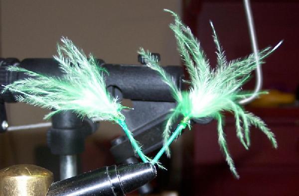 Montage de mouche