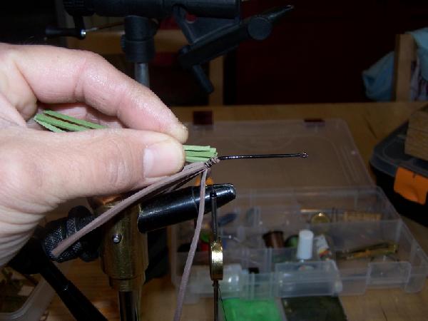 Montage de mouche