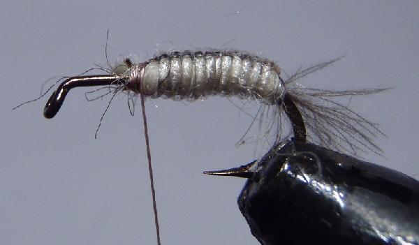 Montage de mouche