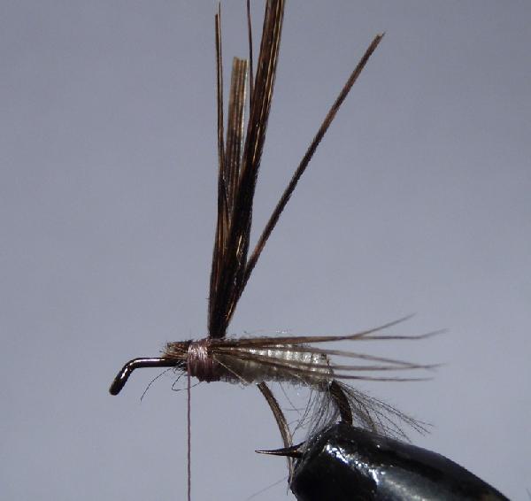 Montage de mouche