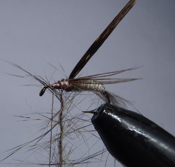 Montage de mouche