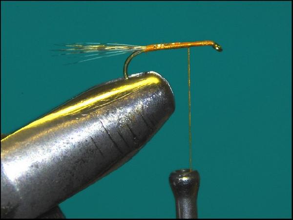 Montage de mouche