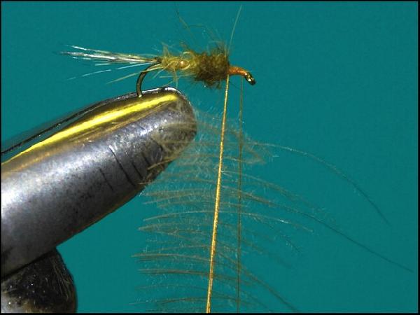 Montage de mouche