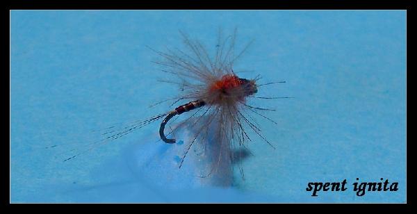 Montage de mouche