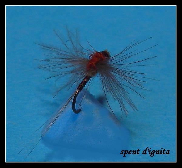Fiche de montage : Spent Ignita