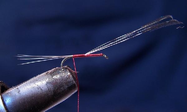 Montage de mouche