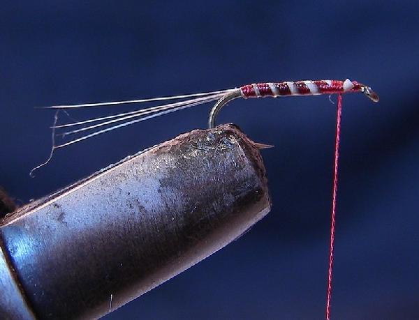 Montage de mouche