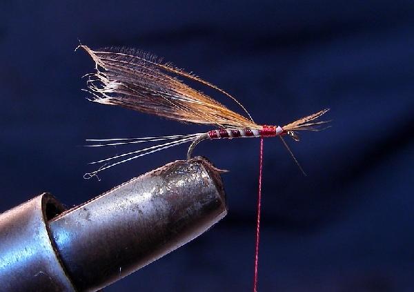 Montage de mouche