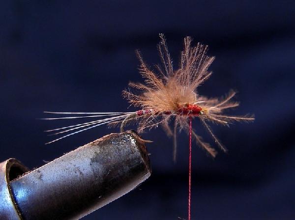 Montage de mouche
