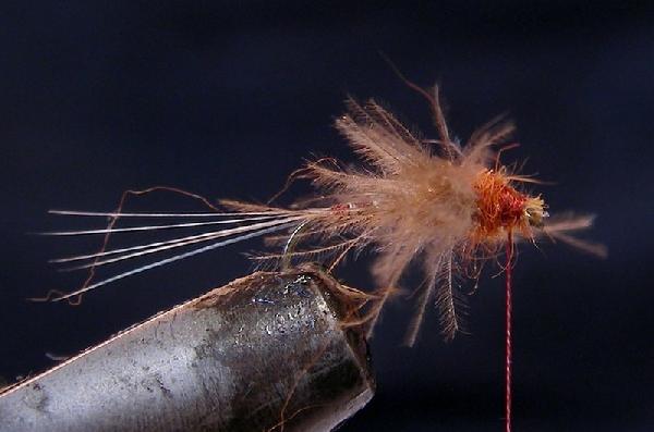 Montage de mouche