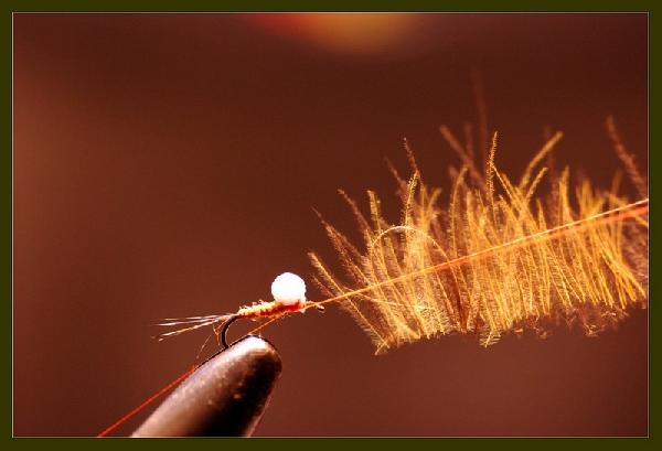 Montage de mouche