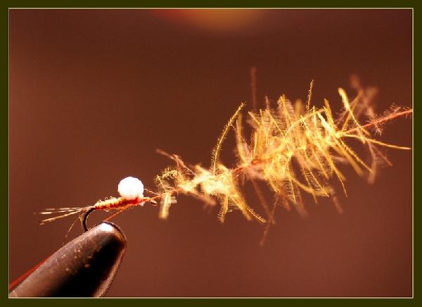 Montage de mouche
