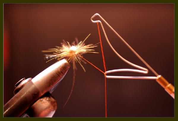 Montage de mouche