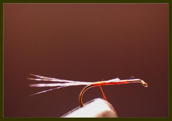 Montage de mouche