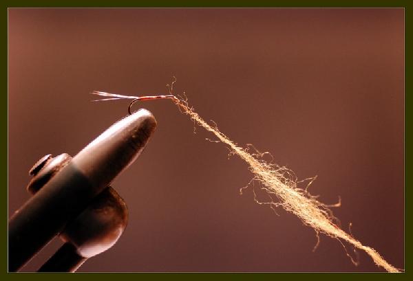 Montage de mouche